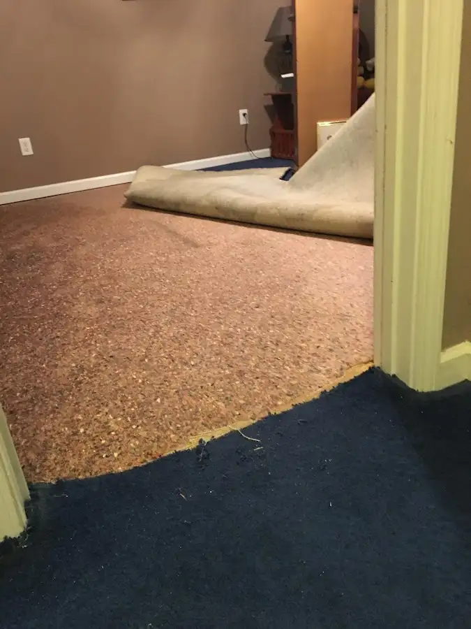 Carpet pad removal revealing water damage during Water Mitigation Services in Ontwa