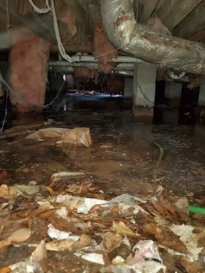 Crawl space flood assessment for Commercial Water Damage Restoration in Ontwa
