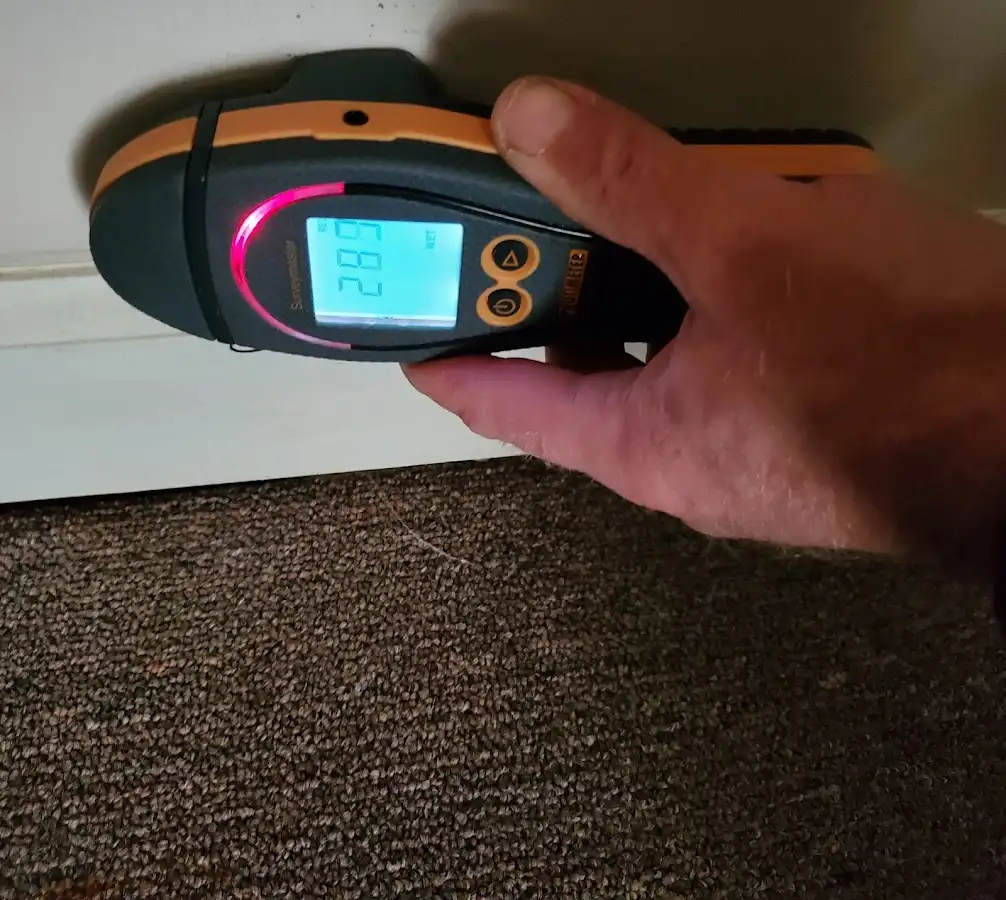 Moisture detection at baseboard during Sewage Cleanup & Sanitation in Ontwa